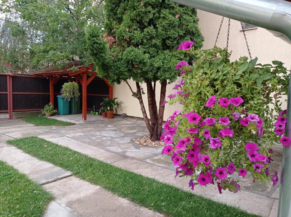 Apartman Ady 6 Senta Экстерьер фото